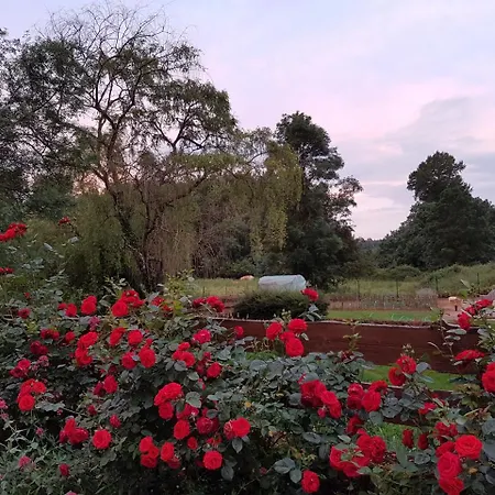 Le Moulin De Bois Coutant 住宿加早餐酒店 维沃讷